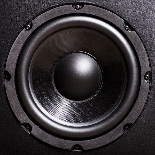 a bass audio speaker (large image)