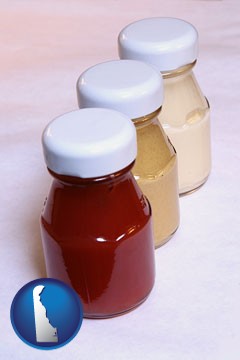 ketchup, mustard, and mayonnaise condiments - with Delaware icon