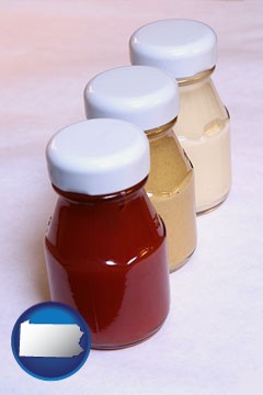 ketchup, mustard, and mayonnaise condiments - with Pennsylvania icon