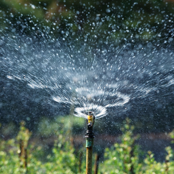 a garden sprinkler (large image)