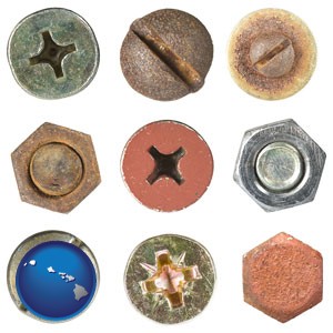 screws heads and bolt heads - with Hawaii icon