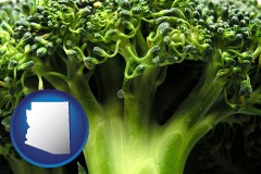 arizona map icon and fresh broccoli