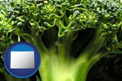 colorado map icon and fresh broccoli
