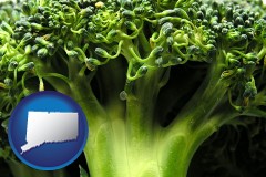 connecticut map icon and fresh broccoli