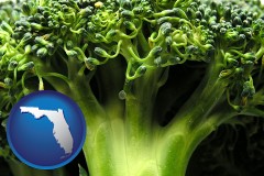 florida map icon and fresh broccoli