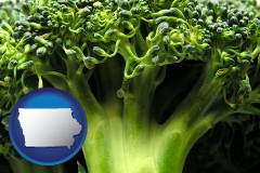 iowa map icon and fresh broccoli