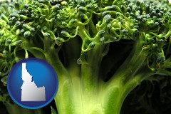 idaho fresh broccoli