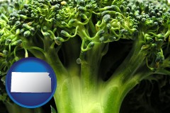 kansas fresh broccoli