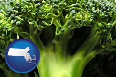 massachusetts map icon and fresh broccoli
