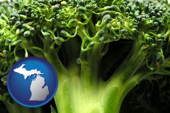 michigan map icon and fresh broccoli