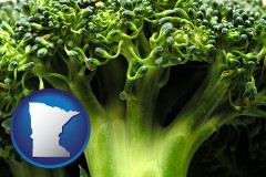 minnesota map icon and fresh broccoli
