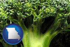 missouri map icon and fresh broccoli