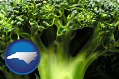 north-carolina map icon and fresh broccoli