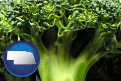nebraska map icon and fresh broccoli