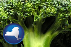 new-york map icon and fresh broccoli