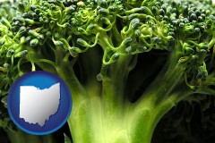 ohio map icon and fresh broccoli
