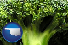 oklahoma map icon and fresh broccoli