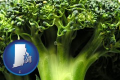 rhode-island map icon and fresh broccoli