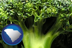 south-carolina map icon and fresh broccoli
