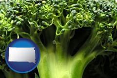 south-dakota fresh broccoli