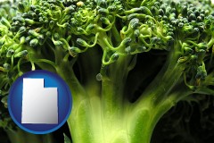 utah map icon and fresh broccoli