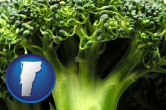 vermont fresh broccoli