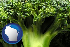 wisconsin map icon and fresh broccoli
