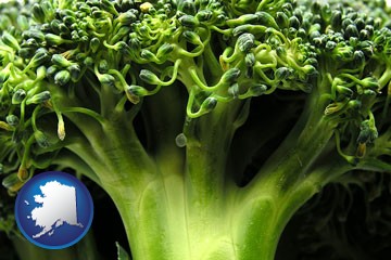 fresh broccoli - with Alaska icon