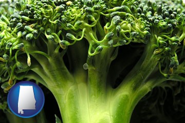 fresh broccoli - with Alabama icon