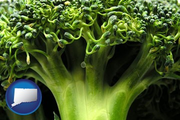 fresh broccoli - with Connecticut icon