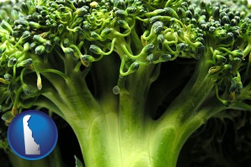 fresh broccoli - with Delaware icon