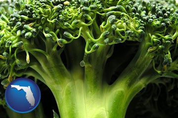 fresh broccoli - with Florida icon