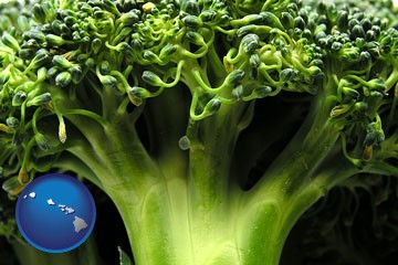 fresh broccoli - with Hawaii icon