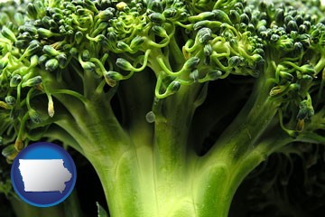 fresh broccoli - with Iowa icon