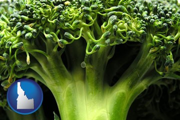 fresh broccoli - with Idaho icon
