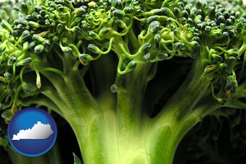 fresh broccoli - with Kentucky icon