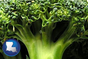 fresh broccoli - with Louisiana icon