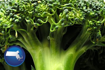 fresh broccoli - with Massachusetts icon