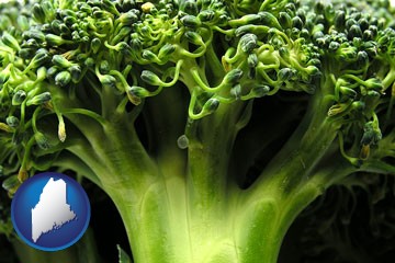 fresh broccoli - with Maine icon