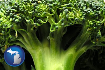 fresh broccoli - with Michigan icon