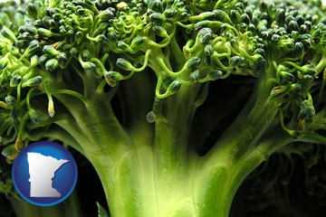 fresh broccoli - with Minnesota icon