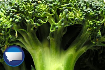 fresh broccoli - with Montana icon