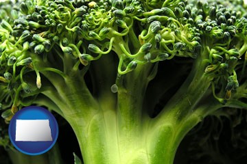 fresh broccoli - with North Dakota icon