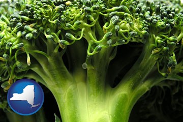 fresh broccoli - with New York icon