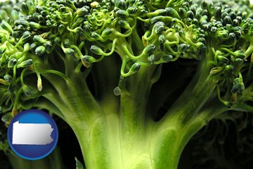 fresh broccoli - with Pennsylvania icon