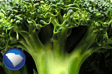 fresh broccoli - with South Carolina icon