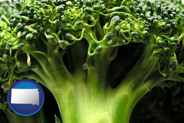 fresh broccoli - with South Dakota icon