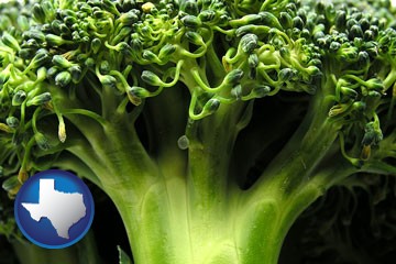 fresh broccoli - with Texas icon