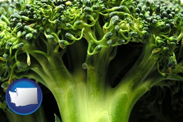 fresh broccoli - with Washington icon