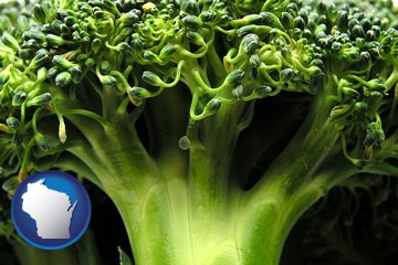 fresh broccoli - with Wisconsin icon